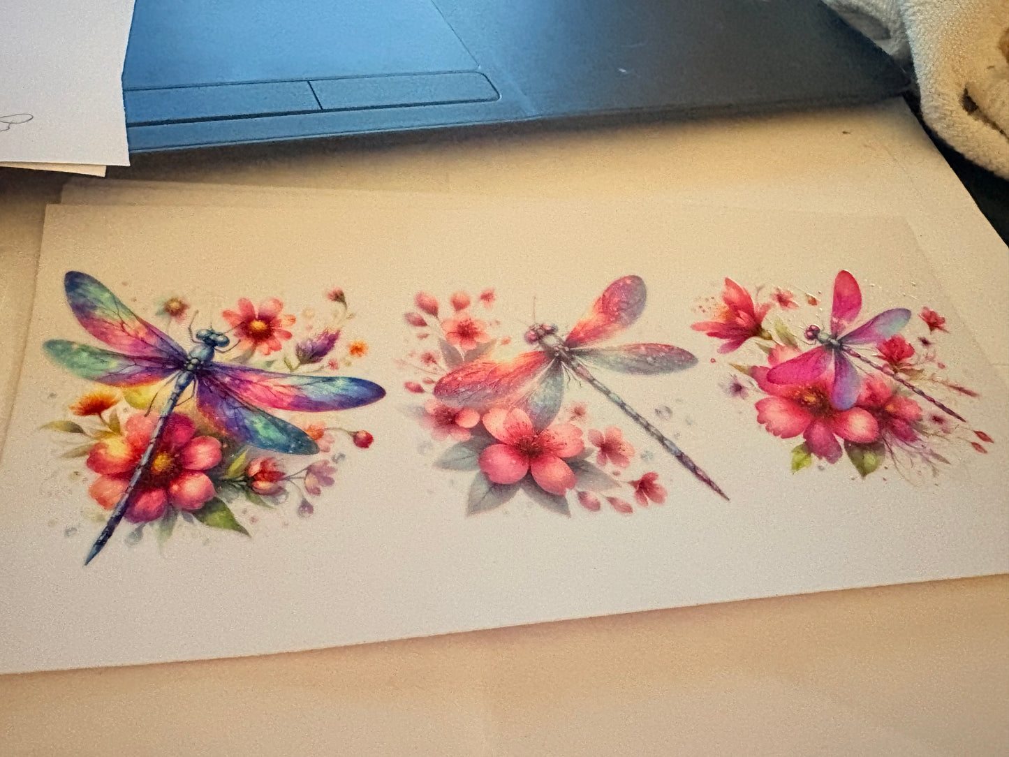 Firefly #3