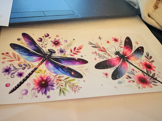 Firefly #4